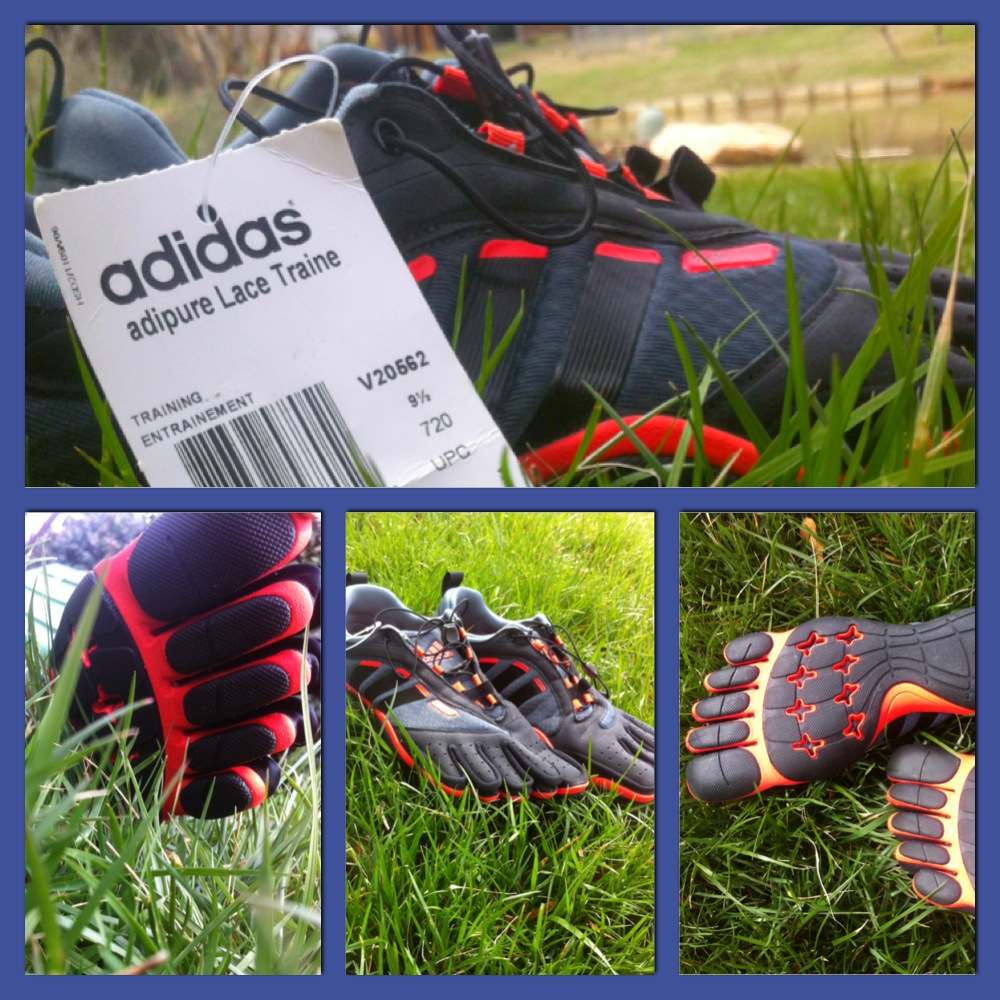 adidas adipure lace trainer shoes